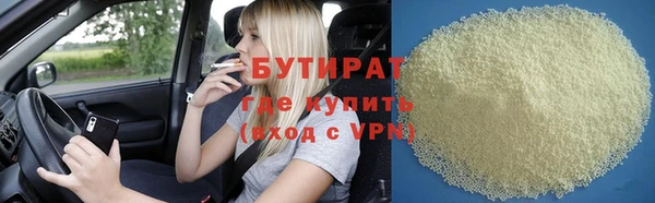 сатива Няндома