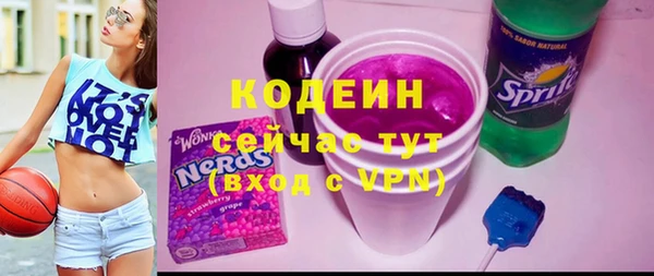 сатива Няндома