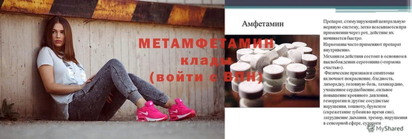 сатива Няндома
