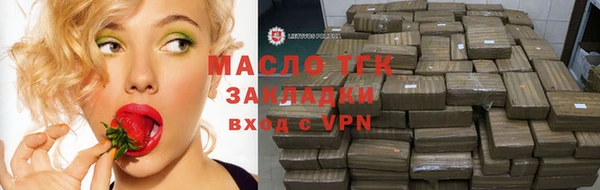 сатива Няндома