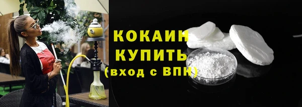 сатива Няндома