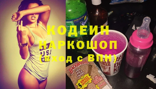 сатива Няндома
