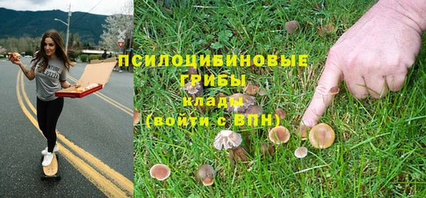 трава Нягань