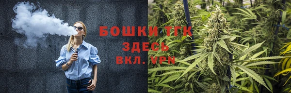 apvp Бердск