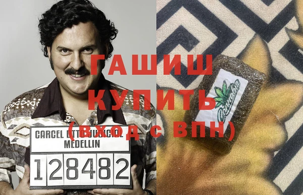 сатива Няндома