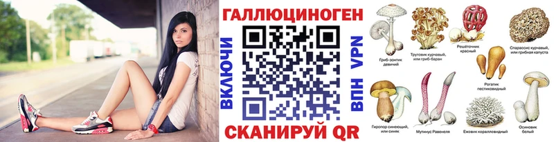 Псилоцибиновые грибы прущие грибы  наркошоп  дарк нет телеграм  Северо-Курильск  ОМГ ОМГ зеркало 